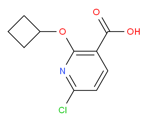 6-chloro-2-cyclobutoxypyridine-3-carboxylic acid