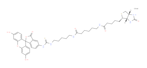 (3aS,4S,6aR)-N-[6-[[5-[[[(3′,6′-Dihydroxy-3-oxospiro[isobenzofuran-1(3H),9′-[9H]xanthen]-5-yl)amino]thioxomethyl]amino]pentyl]amino]-6-oxohexyl]hexahydro-2-oxo-1H-thieno[3,4-d]imidazole-4-pentanamide (ACI)